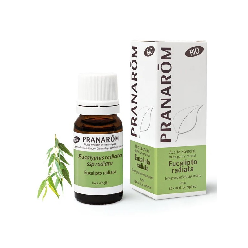 Pranarom aceite esencial eucalipto radiata 10ml - Farmacia olmos