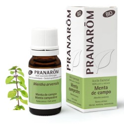 Pranarom aceite esencial menta de campo 10ml-Farmacia Olmos